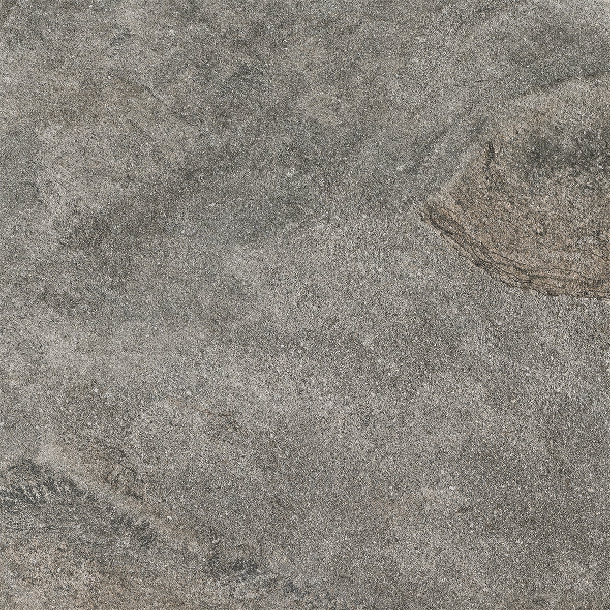 Lapideus Stone